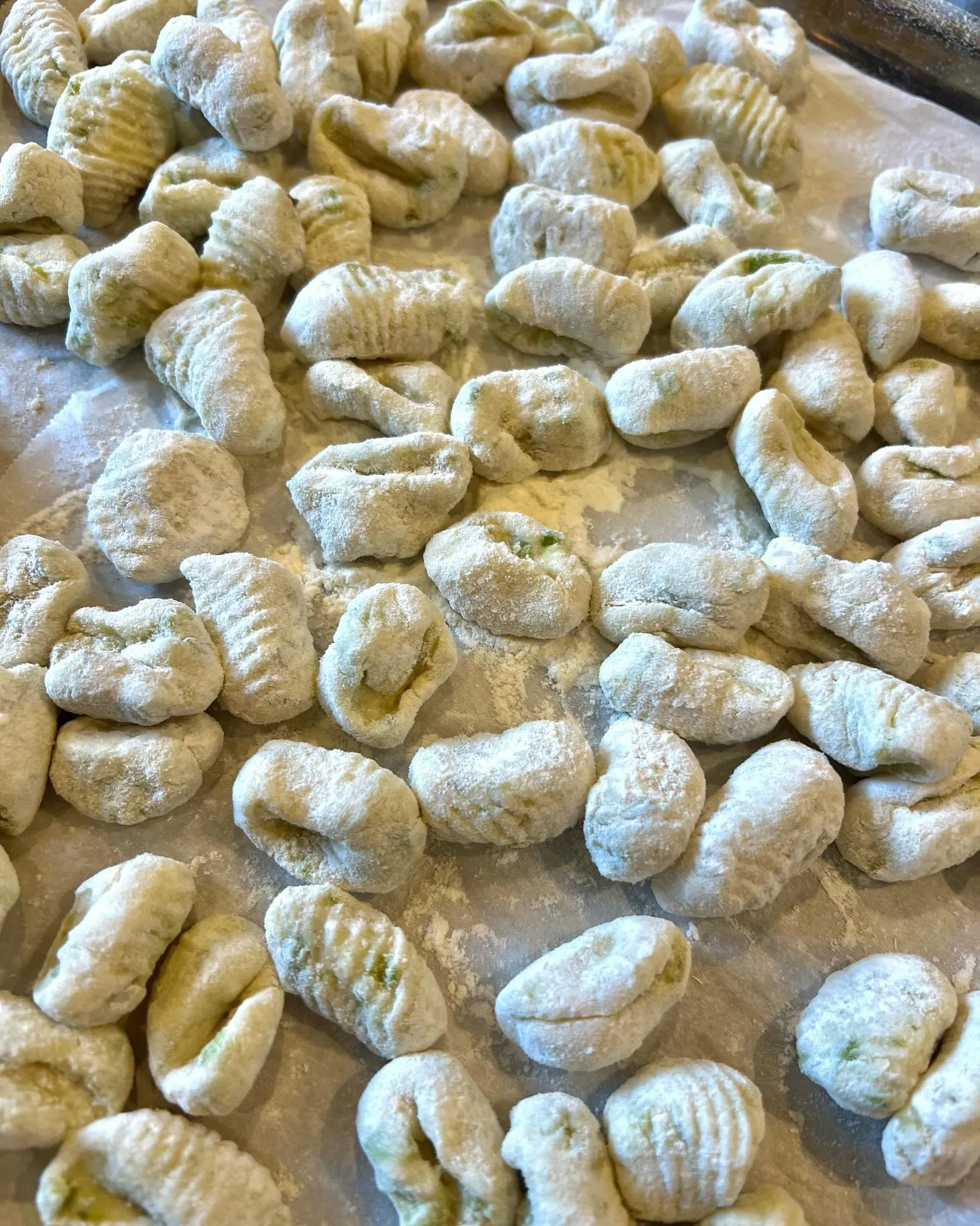 この季節のニョッキはソラマメです