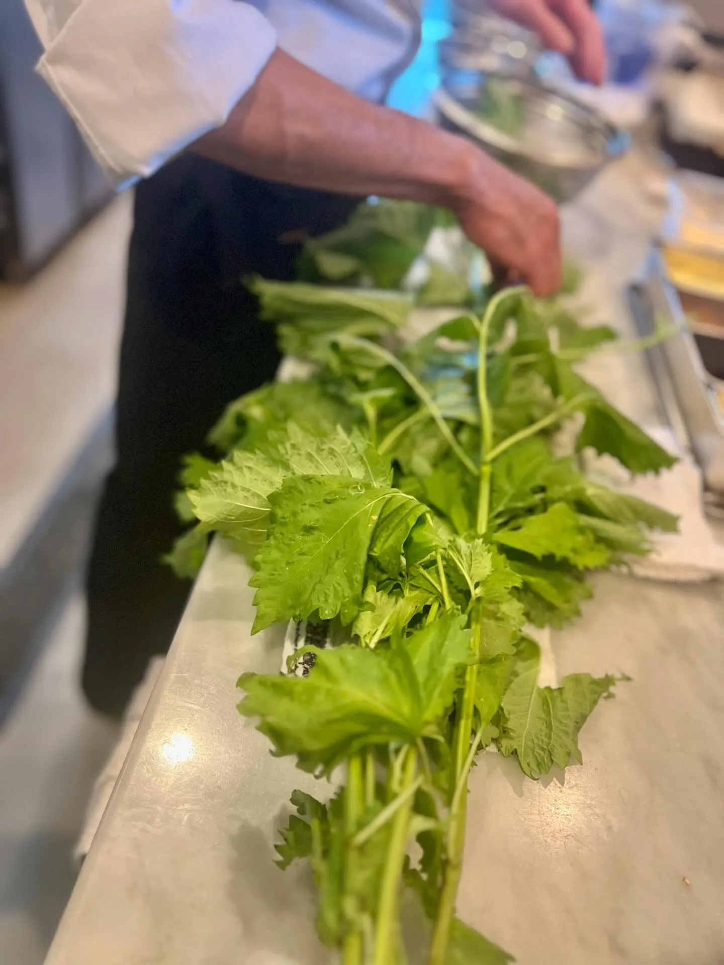 ランチで圧倒的に大人気の大葉のジェノヴェーゼ