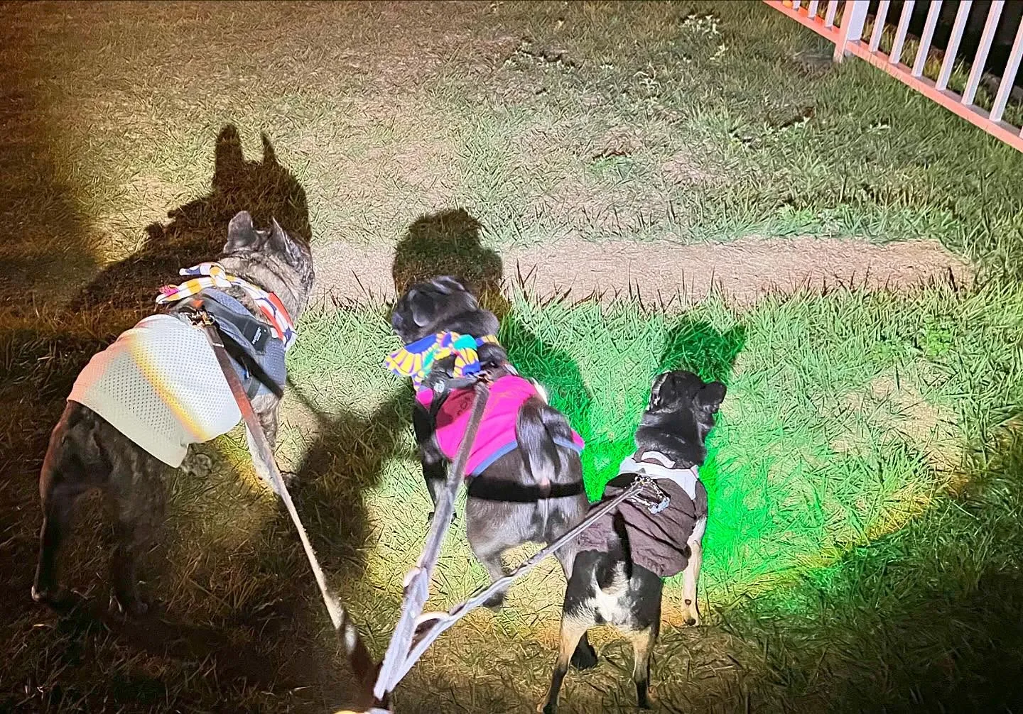 【9月の営業日程☀︎】